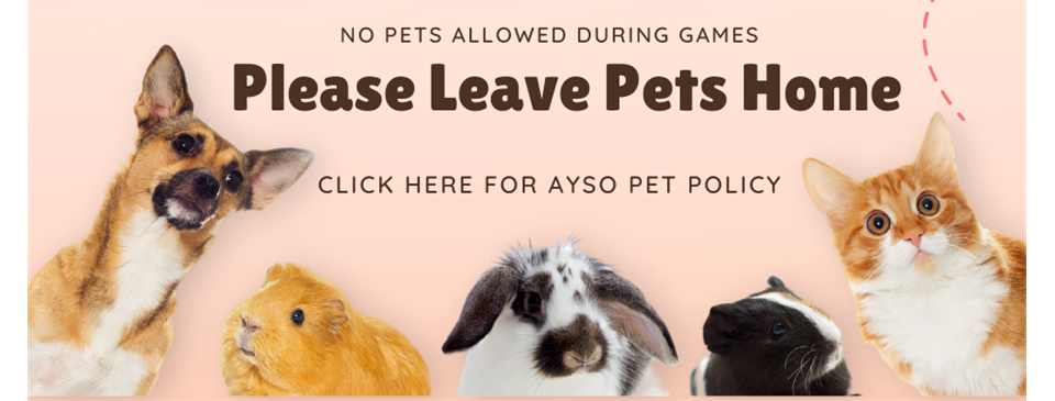 No Pets Allowed at Games