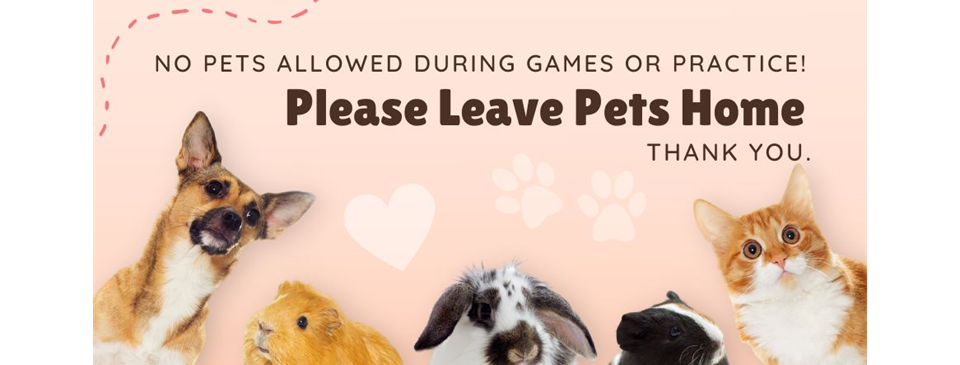 No Pets Allowed!