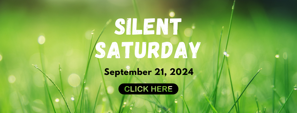 Silent Saturday